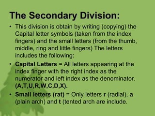 The Secondary Division:
• This division is obtain by writing (copying) the
Capital letter symbols (taken from the index
fingers) and the small letters (from the thumb,
middle, ring and little fingers) The letters
includes the following:
• Capital Letters = All letters appearing at the
index finger with the right index as the
numerator and left index as the denominator.
(A,T,U,R,W,C,D,X).
• Small letters (rat) = Only letters r (radial), a
(plain arch) and t (tented arch are include.
 
