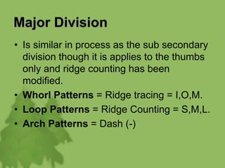 Major Division
• Is similar in process as the sub secondary
division though it is applies to the thumbs
only and ridge counting has been
modified.
• Whorl Patterns = Ridge tracing = I,O,M.
• Loop Patterns = Ridge Counting = S,M,L.
• Arch Patterns = Dash (-)
 