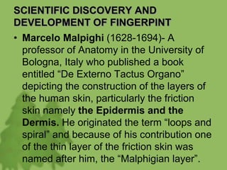 SCIENTIFIC DISCOVERY AND
DEVELOPMENT OF FINGERPINT
• Marcelo Malpighi (1628-1694)- A
professor of Anatomy in the University of
Bologna, Italy who published a book
entitled “De Externo Tactus Organo”
depicting the construction of the layers of
the human skin, particularly the friction
skin namely the Epidermis and the
Dermis. He originated the term “loops and
spiral” and because of his contribution one
of the thin layer of the friction skin was
named after him, the “Malphigian layer”.
 