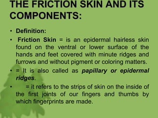 THE FRICTION SKIN AND ITS
COMPONENTS:
• Definition:
• Friction Skin = is an epidermal hairless skin
found on the ventral or lower surface of the
hands and feet covered with minute ridges and
furrows and without pigment or coloring matters.
• = It is also called as papillary or epidermal
ridges.
• = it refers to the strips of skin on the inside of
the first joints of our fingers and thumbs by
which fingerprints are made.
 