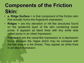 Components of the Friction
Skin:
• a. Ridge Surface = is that component of the friction skin
that actually forms the fingerprint impression.
• Ridges = are tiny elevation or hill like structures found
on the epidermis layer of the skin containing sweat
pores. It appears as black lines with tiny white dots
called pores in an inked impression.
• Furrows = are the canal-like impression or a depression
found between the ridges which may be compare with
the low area in a tire thread. They appear as white lines
in an inked impression.
 