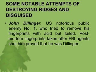 SOME NOTABLE ATTEMPTS OF
DESTROYING RIDGES AND
DISGUISED
• John Dillinger, US notorious public
enemy No. 1, who tried to remove his
fingerprints with acid but failed. Post-
mortem fingerprints taken after FBI agents
shot him proved that he was Dillinger.
 