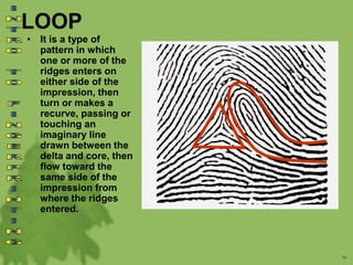 LOOP
• It is a type of
pattern in which
one or more of the
ridges enters on
either side of the
impression, then
turn or makes a
recurve, passing or
touching an
imaginary line
drawn between the
delta and core, then
flow toward the
same side of the
impression from
where the ridges
entered.
38
 