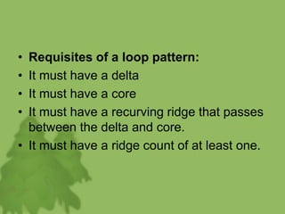 • Requisites of a loop pattern:
• It must have a delta
• It must have a core
• It must have a recurving ridge that passes
between the delta and core.
• It must have a ridge count of at least one.
 