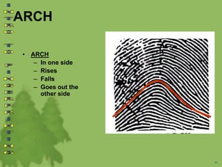 ARCH
• ARCH
– In one side
– Rises
– Falls
– Goes out the
other side
41
 