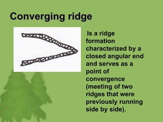 Converging ridge
Is a ridge
formation
characterized by a
closed angular end
and serves as a
point of
convergence
(meeting of two
ridges that were
previously running
side by side).
 