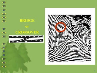 BRIDGE
or
CROSSOVER
53
 