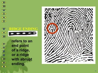 RIDGE ENDING
54
refers to an
end point
of a ridge,
or a ridge
with abrupt
ending.
 