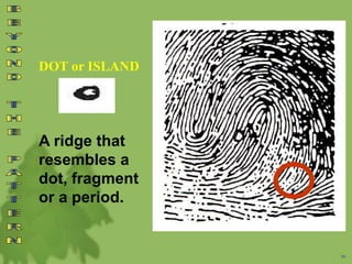 DOT or ISLAND
56
A ridge that
resembles a
dot, fragment
or a period.
 