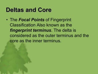 Deltas and Core
• The Focal Points of Fingerprint
Classification Also known as the
fingerprint terminus. The delta is
considered as the outer terminus and the
core as the inner terminus.
 