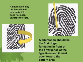 A bifurcation may
not be selected
as a delta if it
does not open
towards the core.
A bifurcation should be
the first ridge
formation in front of
the divergence of the
type lines and it must
open toward the
pattern area
 