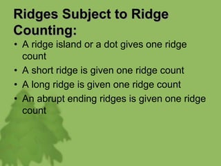 Ridges Subject to Ridge
Counting:
• A ridge island or a dot gives one ridge
count
• A short ridge is given one ridge count
• A long ridge is given one ridge count
• An abrupt ending ridges is given one ridge
count
 