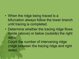 • When the ridge being traced is a
bifurcation always follow the lower branch
until tracing is completed.
• Determine whether the tracing ridge flows
inside (above) or below (outside) the right
delta.
Count the number of intervening ridge
(ridge between the tracing ridge and right
delta).
 