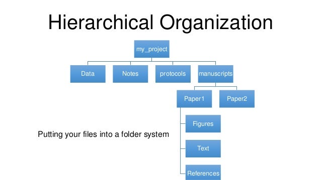 data and donuts data organization data organization