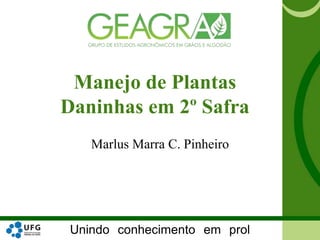 Unindo conhecimento em prol
Manejo de Plantas
Daninhas em 2º Safra
Marlus Marra C. Pinheiro
 