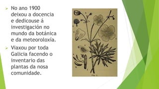  No ano 1900
deixou a docencia
e dedicouse á
investigación no
mundo da botánica
e da meteoroloxía.
 Viaxou por toda
Galicia facendo o
inventario das
plantas da nosa
comunidade.
 