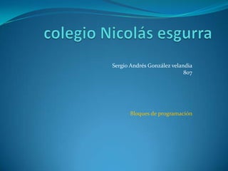 Sergio Andrés González velandia
                            807




      Bloques de programación
 