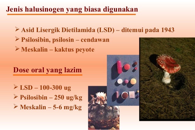 ( Dadah tindakbalas dan kesan inhalan, rokok,alkohol,dadah) ( Dadah tindakbalas dan kesan inhalan, rokok,alkohol,dadah)