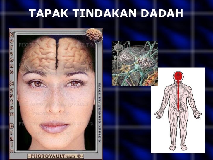 Dadah dan kesannya Dadah dan kesannya