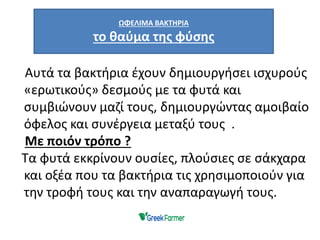 Αυτά τα βακτήρια έχουν δημιουργήσει ισχυρούς
«ερωτικούς» δεσμούς με τα φυτά και
συμβιώνουν μαζί τους, δημιουργώντας αμοιβαίο
όφελος και συνέργεια μεταξύ τους .
Με ποιόν τρόπο ?
Τα φυτά εκκρίνουν ουσίες, πλούσιες σε σάκχαρα
και οξέα που τα βακτήρια τις χρησιμοποιούν για
την τροφή τους και την αναπαραγωγή τους.
ΩΦΕΛΙΜΑ ΒΑΚΤΗΡΙΑ
το θαύμα της φύσης
 