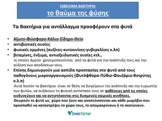 Τα Βακτήρια για αντάλλαγμα προσφέρουν στα φυτά
• Αζωτο-Φώσφορο-Κάλιο-Σίδηρο-Θείο
• αντιβιοτικές ουσίες
• φυσικές ορμόνες (αυξίνες-κυτοκινίνες-γυβερελίνες κ.λπ)
• βιταμίνες, ένζυμα, αντιοξειδωτικές ουσίες κτλ.,
οι οποίες άμεσα χρησιμοποιούνται από τα φυτά για την ανάπτυξη τους και την
αύξηση των αποδόσεων τους.
• Επίσης δημιουργούν μια ασπίδα προστασίας στο φυτό από τους
παθογόνους μικροοργανισμούς (Φυτόφθορα-Πύθιο-Φουζάριο-Βοτρύτης
κ.λ.π)
Αυτά λοιπόν τα βακτήρια είναι σε θέση να διεγείρουν την ανάπτυξη και την ευρωστία
των φυτών, να αυξάνουν τη φυσική αντίσταση τους σε ασθένειες από τις οποίες
κινδυνεύουν και να αντιστέκονται στις δυσμενείς καιρικές συνθήκες.
Θεωρούν το φυτό ως χώρο που ζουν και αναπτύσσονται και κάθε μικρόβιο που
προσπαθεί να καταστρέψει το χώρο τους, το απομακρύνουν ή το σκοτώνουν.
ΩΦΕΛΙΜΑ ΒΑΚΤΗΡΙΑ
το θαύμα της φύσης
 