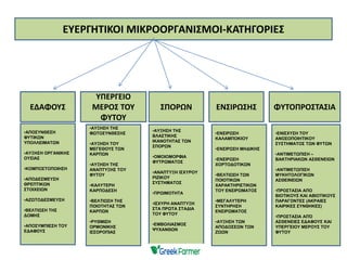 ΕΥΕΡΓΗΤΙΚΟΙ ΜΙΚΡΟΟΡΓΑΝΙΣΜΟΙ-ΚΑΤΗΓΟΡΙΕΣ
ΕΔΑΦΟΥΣ
ΥΠΕΡΓΕΙΟ
ΜΕΡΟΣ ΤΟΥ
ΦΥΤΟΥ
ΣΠΟΡΩΝ ΕΝΣΙΡΩΣΗΣ ΦΥΤΟΠΡΟΣΤΑΣΙΑ
•ΑΠΟΣΥΝΘΕΣΗ
ΦΥΤΙΚΩΝ
ΥΠΟΛΛΕΙΜΑΤΩΝ
•ΑΥΞΗΣΗ ΟΡΓΑΝΙΚΗΣ
ΟΥΣΙΑΣ
•ΚΟΜΠΟΣΤΟΠΟΙΗΣΗ
•ΑΠΟΔΕΣΜΕΥΣΗ
ΘΡΕΠΤΙΚΩΝ
ΣΤΟΙΧΕΙΩΝ
•ΑΖΩΤΟΔΕΣΜΕΥΣΗ
•ΒΕΛΤΙΩΣΗ ΤΗΣ
ΔΟΜΗΣ
•ΑΠΟΣΥΜΠΙΕΣΗ ΤΟΥ
ΕΔΑΦΟΥΣ
•ΑΥΞΗΣΗ ΤΗΣ
ΦΩΤΟΣΥΝΘΕΣΗΣ
•ΑΥΞΗΣΗ ΤΟΥ
ΜΕΓΕΘΟΥΣ ΤΩΝ
ΚΑΡΠΩΝ
•ΑΥΞΗΣΗ ΤΗΣ
ΑΝΑΠΤΥΞΗΣ ΤΟΥ
ΦΥΤΟΥ
•ΚΑΛΥΤΕΡΗ
ΚΑΡΠΟΔΕΣΗ
•ΒΕΛΤΙΩΣΗ ΤΗΣ
ΠΟΙΟΤΗΤΑΣ ΤΩΝ
ΚΑΡΠΩΝ
•ΡΥΘΜΙΣΗ
ΟΡΜΟΝΙΚΗΣ
ΙΣΣΟΡΟΠΙΑΣ
•ΑΥΞΗΣΗ ΤΗΣ
ΒΛΑΣΤΙΚΗΣ
ΙΚΑΝΟΤΗΤΑΣ ΤΩΝ
ΣΠΟΡΩΝ
•ΟΜΟΙΟΜΟΡΦΙΑ
ΦΥΤΡΩΜΑΤΟΣ
•ΑΝΑΠΤΥΞΗ ΙΣΧΥΡΟΥ
ΡΙΖΙΚΟΥ
ΣΥΣΤΗΜΑΤΟΣ
•ΠΡΩΙΜΟΤΗΤΑ
•ΙΣΧΥΡΗ ΑΝΑΠΤΥΞΗ
ΣΤΑ ΠΡΩΤΑ ΣΤΑΔΙΑ
ΤΟΥ ΦΥΤΟΥ
•ΕΜΒΟΛΙΑΣΜΟΣ
ΨΥΧΑΝΘΩΝ
•ΕΝΣΙΡΩΣΗ
ΚΑΛΑΜΠΟΚΙΟΥ
•ΕΝΣΙΡΩΣΗ ΜΗΔΙΚΗΣ
•ΕΝΣΙΡΩΣΗ
ΧΟΡΤΟΔΟΤΙΚΩΝ
•ΒΕΛΤΙΩΣΗ ΤΩΝ
ΠΟΙΟΤΙΚΩΝ
ΧΑΡΑΚΤΗΡΙΣΤΙΚΩΝ
ΤΟΥ ΕΝΣΙΡΩΜΑΤΟΣ
•ΜΕΓΑΛΥΤΕΡΗ
ΣΥΝΤΗΡΗΣΗ
ΕΝΣΙΡΩΜΑΤΟΣ
•ΑΥΞΗΣΗ ΤΩΝ
ΑΠΟΔΟΣΕΩΝ ΤΩΝ
ΖΩΩΝ
•ΕΝΙΣΧΥΣΗ ΤΟΥ
ΑΝΟΣΟΠΟΙΗΤΙΚΟΥ
ΣΥΣΤΗΜΑΤΟΣ ΤΩΝ ΦΥΤΩΝ
•ΑΝΤΙΜΕΤΩΠΙΣΗ –
ΒΑΚΤΗΡΙΑΚΩΝ ΑΣΘΕΝΕΙΩΝ
•ΑΝΤΙΜΕΤΩΠΙΣΗ
ΜΥΚΗΤΟΛΟΓΙΚΩΝ
ΑΣΘΕΙΝΕΙΩΝ
•ΠΡΟΣΤΑΣΙΑ ΑΠΟ
ΒΙΟΤΙΚΟΥΣ ΚΑΙ ΑΒΙΟΤΙΚΟΥΣ
ΠΑΡΑΓΟΝΤΕΣ (ΑΚΡΑΙΕΣ
ΚΑΙΡΙΚΕΣ ΣΥΝΘΗΚΕΣ)
•ΠΡΟΣΤΑΣΙΑ ΑΠΌ
ΑΣΘΕΝΕΙΕΣ ΕΔΑΦΟΥΣ ΚΑΙ
ΥΠΕΡΓΕΙΟΥ ΜΕΡΟΥΣ ΤΟΥ
ΦΥΤΟΥ
 
