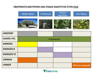 UNISTART
SLAVOL VVL 4 ψεκασμοί
AMIKSOL
ENERGEN B
ENERGEN TE
UNIMAX
UNIKER Μετά την συγκομιδή
ΕΦΑΡΜΟΓΕΣ ΒΑΚΤΗΡΙΩΝ ΑΝΑ ΣΤΑΔΙΟ ΑΝΑΠΤΥΞΗΣ ΣΤΗΝ ΕΛΙΑEFARMOGES
Φεβρ-Μάρτ Ανθοφορία
Αύξηση
καρπιδίου
Οκτ-Νοέμ
 