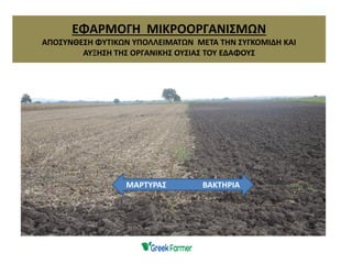 ΕΦΑΡΜΟΓΗ ΜΙΚΡΟΟΡΓΑΝΙΣΜΩΝ
ΑΠΟΣΥΝΘΕΣΗ ΦΥΤΙΚΩΝ ΥΠΟΛΛΕΙΜΑΤΩΝ ΜΕΤΑ ΤΗΝ ΣΥΓΚΟΜΙΔΗ ΚΑΙ
ΑΥΞΗΣΗ ΤΗΣ ΟΡΓΑΝΙΚΗΣ ΟΥΣΙΑΣ ΤΟΥ ΕΔΑΦΟΥΣ
ΜΑΡΤΥΡΑΣ ΒΑΚΤΗΡΙΑ
 