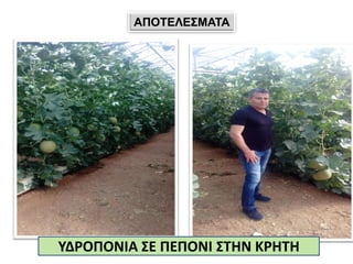 ΑΠΟΤΕΛΕΣΜΑΤΑ
ΥΔΡΟΠΟΝΙΑ ΣΕ ΠΕΠΟΝΙ ΣΤΗΝ ΚΡΗΤΗ
 