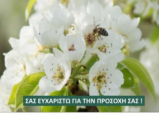 ΣΑΣ ΕΥΧΑΡΙΣΤΩ ΓΙΑ ΤΗΝ ΠΡΟΣΟΧΗ ΣΑΣ !
 