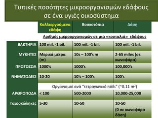 Τυπικές ποσότητες μικροοργανισμών εδάφους
σε ένα υγιές οικοσύστημα
Καλλιεργούμενα
εδάφη
Βοσκοτόπια Δάση
Αριθμός μικροοργανισμών σε μια «κουταλιά» εδάφους
ΒΑΚΤΗΡΙΑ 100 mil. -1 bil. 100 mil. -1 bil. 100 mil. -1 bil.
ΜΥΚΗΤΕΣ Μερικά μέτρα
(m)
10s – 100’s m 2-65 miles (σε
κωνοφόρα)
ΠΡΩΤΟΖΩΑ 1000’s 1000’s 100,000’s
ΝΗΜΑΤΩΔΕΙΣ 10-20 10’s – 100’s 100’s
Οργανισμοί ανά “τετραγωνικό πόδι” (~0.11 m2)
ΑΡΘΡΟΠΟΔΑ < 100 500-2000 10,000-25,000
Γαιοσκώληκες 5-30 10-50 10-50
(0 σε κωνοφόρα
δάση)
 