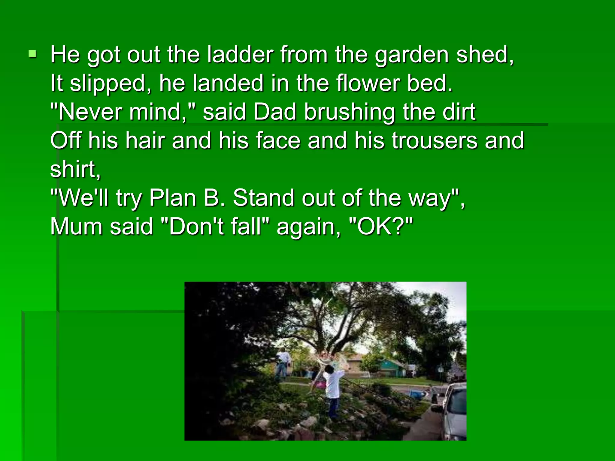  He got out the ladder from the garden shed,
It slipped, he landed in the flower bed.
"Never mind," said Dad brushing the dirt
Off his hair and his face and his trousers and
shirt,
"We'll try Plan B. Stand out of the way",
Mum said "Don't fall" again, "OK?"
 