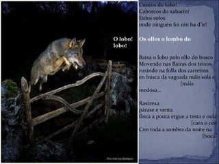 Cousos do lobo! Caborcos do xabarín! Eidos solos onde ninguén foi nin ha d’ir! Baixa o lobo polo ollo do bosco Movendo nas flairas dos teixos ruxindo na folla dos carreiros en busca da vagoada máis sola e    [máis medosa… Rastrexa párase e venta finca a pouta ergue a testa e oula    [cara o ceo Con toda a sombra da noite na   [boca O lobo!  Os ollos o lombo do lobo! 