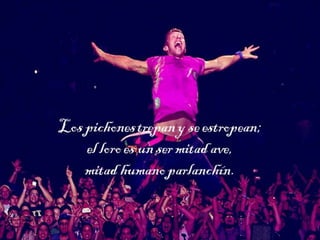 Los pichones trepan y
se estropean;
el loro es un ser
mitad ave,
mitad humano