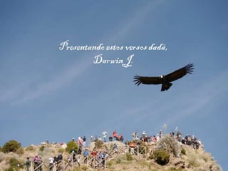 Presentando
estos versos
dadá,
Darwin J.

 