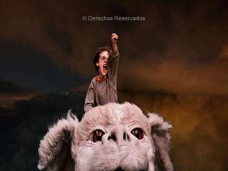 © Derechos Reservados