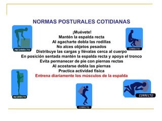 NORMAS POSTURALES COTIDIANAS
                           ¡Muévete!
                    Mantén la espalda recta
                Al agacharte dobla las rodillas
                  No alces objetos pesados
       Distribuye las cargas y llévalas cerca al cuerpo
En posición sentada mantén la espalda recta y apoya el tronco
         Evita permanecer de pie con piernas rectas
                Al acostarse dobla las piernas
                    Practica actividad física
       Entrena diariamente los músculos de la espalda
 