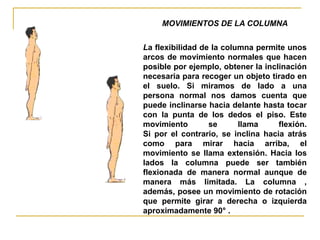 MOVIMIENTOS DE LA COLUMNA


La flexibilidad de la columna permite unos
arcos de movimiento normales que hacen
posible por ejemplo, obtener la inclinación
necesaria para recoger un objeto tirado en
el suelo. Si miramos de lado a una
persona normal nos damos cuenta que
puede inclinarse hacia delante hasta tocar
con la punta de los dedos el piso. Este
movimiento        se      llama     flexión.
Si por el contrario, se inclina hacia atrás
como para mirar hacia arriba, el
movimiento se llama extensión. Hacia los
lados la columna puede ser también
flexionada de manera normal aunque de
manera más limitada. La columna ,
además, posee un movimiento de rotación
que permite girar a derecha o izquierda
aproximadamente 90° .
 