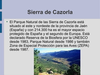 Sierra de Cazorla El Parque Natural de las Sierra de Cazorla está situado al este y nordeste de la provincia de Jaén (España) y con 214.300 ha es el mayor espacio protegido de España y el segundo de Europa. Está declarado Reserva de la Biosfera por la UNESCO desde 1983, Parque Natural desde 1986 y también Zona de Especial Protección para las Aves (ZEPA) desde 1987.  