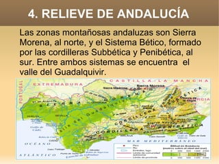 4. RELIEVE DE ANDALUCÍA
Las zonas montañosas andaluzas son Sierra
Morena, al norte, y el Sistema Bético, formado
por las cordilleras Subbética y Penibética, al
sur. Entre ambos sistemas se encuentra el
valle del Guadalquivir.

 