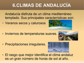 6.CLIMAS DE ANDALUCÍA
Andalucía disfruta de un clima mediterráneo
templado. Sus principales características son:


Veranos secos y calurosos



Inviernos de temperaturas suaves.



Precipitaciones irregulares.



El rasgo que mejor identifica el clima andaluz
es un gran número de horas de sol al año.

 
