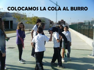 COLOCAMOS LA COLA AL BURRO
 