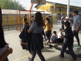 Día del alumno 2015