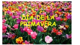 DÍA DE LA
PRIMAVERA
 