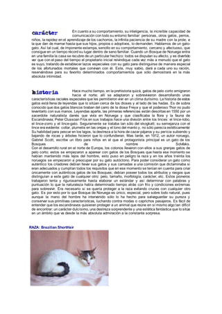 En cuanto a su comportamiento, su inteligencia, la increíble capacidad de
comunicación con todo su entorno familiar: personas, otros gatos, perros,
niños, la rapidez en el aprendizaje de los cachorros, la infinita paciencia de su madre con la prole, a
la que dan de mamar hasta que sus hijos, propios o adoptivos, lo demanden. Hablamos de un gato-
gato. Así tal cual, de imponente estampa, sencillo en su comportamiento, cercano y afectuoso, que
consigue en un tiempo récord su lugar dentro de seno familiar. Cuando un Bosque de Noruega entra
en una familia la casa se recubre de un particular hechizo: todos se disputan su afecto, y es divertido
ver que con el paso del tiempo el propietario inicial reivindique cada vez más a menudo que el gato
es suyo, tratando de establecer lazos especiales con su gato para distinguirse de manera especial
de los afortunados mortales que convivan con él. Este, muy sabio, dará a cada uno su ración,
reservándose para su favorito determinados comportamientos que sólo demostrará en la más
absoluta intimidad.
Hace mucho tiempo, en la prehistoria quizá, gatos de pelo corto emigraron
hacia el norte; allí se adaptaron y sobrevivieron desarrollando unas
características raciales especiales que les permitieron vivir en un clima durísimo. La historia de estos
gatos está llena de leyendas que lo sitúan cerca de los dioses y al lado de las hadas. Es de sobra
conocido que dos gatos blancos tiraban del carro de la diosa Freya y que el poderoso Thor no pudo
levantarlo con sus manos. Leyendas aparte, las primeras referencias están descritas en 1550 por un
sacerdote naturalista danés que vivía en Noruega y que clasificaba la flora y la fauna de
Escandinavia; Peter Clussoan Früs en sus trabajos hace una división entre los linces: el lince-lobo,
el lince-zorro y el lince-gato. Seguramente se trataba tan sólo del skogkatt; su semejanza con el
lince era evidente: collar, plumetis en las orejas y el tono del manto y, no sólo parecía estéticamente:
Su habilidad para pescar en los lagos, la destreza a la hora de cazar pájaros y su pericia subiendo y
bajando de rocas y árboles hicieron que lo confundieran. Mas tarde, en 1912, un autor noruego,
Gabriel Scott, escribe un libro para niños en el que el protagonista principal es un gato de los
Bosques de nombre Solvfaks.
Con el desarrollo rural en el norte de Europa, los colonos llevaron con ellos a sus granjas gatos de
pelo corto; estos se empezaron a aparear con gatos de los Bosques que hasta ese momento se
habían mantenido más lejos del hombre, esto puso en peligro la raza y en los años treinta los
noruegos se empezaron a preocupar por su gato autóctono. Para poder considerar un gato como
auténtico los criadores debían llevar sus gatos y sus camadas a una comisión que dictaminaba si
eran adecuados y cumplían todos los requisitos que en ese momento se tenían en cuenta para criar
únicamente con auténticos gatos de los Bosques; debían poseer todos los atributos y rasgos que
distinguían a este gato de cualquier otro: pelo, tamaño, morfología, carácter, etc. Estos pioneros
trabajaron lenta y rigurosamente hasta elaborar un estándar y así determinar con palabras y
puntuación lo que la naturaleza había determinado tiempo atrás con frío y condiciones extremas
para sobrevivir. Era necesario si se quería proteger a la raza evitando cruces con cualquier otro
gato. Es por esto por lo que Bosque de Noruega es único, especial, pero sobre todo natural, pues
aunque la mano del hombre ha intervenido sólo lo ha hecho para salvaguardar su pureza y
conservar sus primitivas características, luchando contra modas o caprichos pasajeros. Es fácil de
entender que los escandinavos quisieran proteger a un animal que reúne en sí mismo algo tan difícil
de encontrar: un carácter dulcísimo, una destreza sorprendente y una estética fantástica que lo sitúa
en un ámbito que va desde la más absoluta admiración a la constante sorpresa.
RAZA: Brazilian ShortHair
 