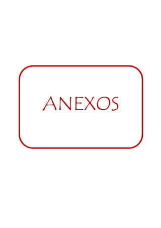 ANEXOS 
 