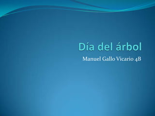 Manuel Gallo Vicario 4B
 