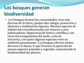 Los bosques generan
biodiversidad
 Los bosques forman las comunidades vivas más
diversas de la tierra, porque dan refugio, protección y
alimento a multitud de especies. Muchas especies de
árboles han coevolucionado con insectos y aves
polinizadoras, dispersoras de frutos y semillas y con
otros microorganismos del suelo, como la
micorriza, con quien algunas especies viven en
simbiosis permanente. Los bosques ofrecen nichos
diversos a la fauna, lo que favorece la aparición de
nuevas especies animales y vegetales, aumentando la
biodiversidad del planeta.
 
