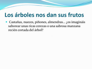 Los árboles nos dan sus frutos
 Castañas, nueces, piñones, almendras… ¿os imagináis
saborear unas ricas cerezas o una sabrosa manzana
recién cortada del árbol?
 