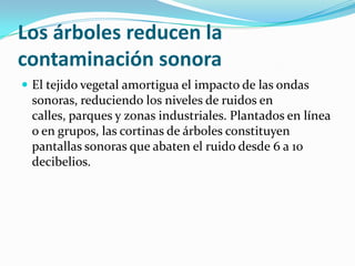 Los árboles reducen la
contaminación sonora
 El tejido vegetal amortigua el impacto de las ondas
sonoras, reduciendo los niveles de ruidos en
calles, parques y zonas industriales. Plantados en línea
o en grupos, las cortinas de árboles constituyen
pantallas sonoras que abaten el ruido desde 6 a 10
decibelios.
 